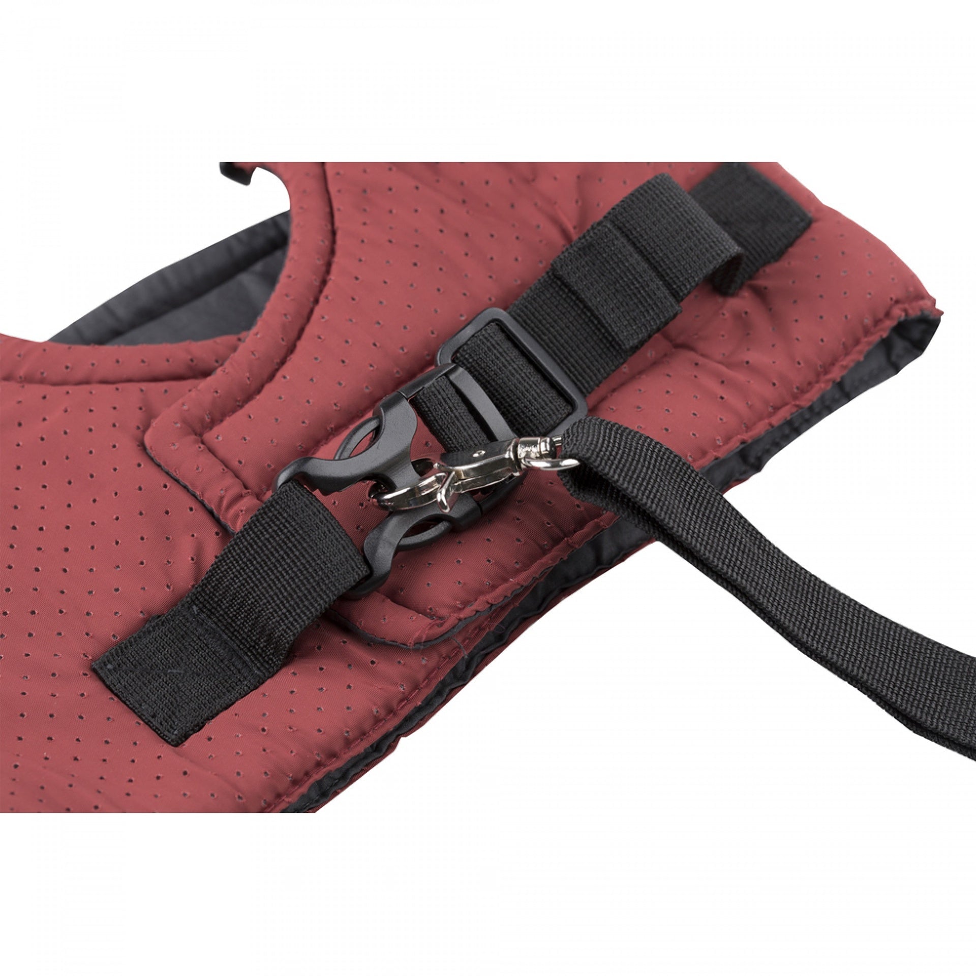 حزام حماية الطفل DPT