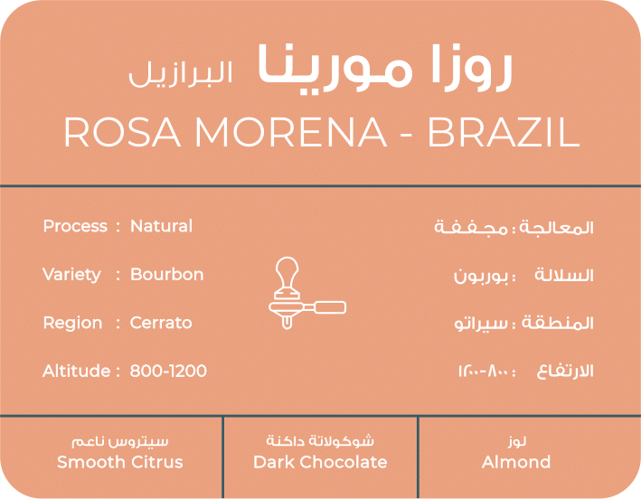 BRAZIL ROSA MORINA COFFEE BEANS