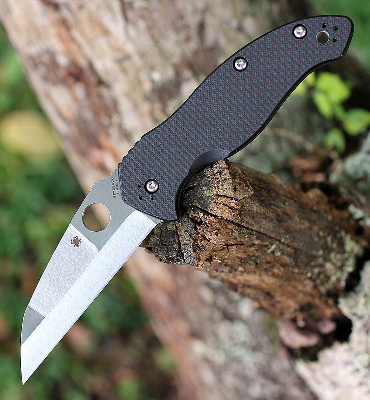 Spyderco Canis CF CPMS30V #C248CFP