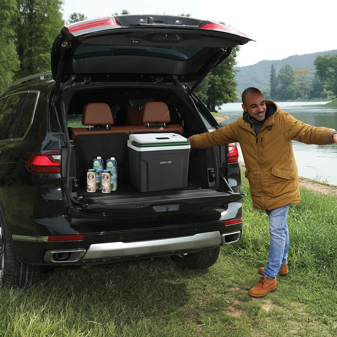 Green Lion Highway Electric  Heating and Cooling #GNHITLCOOLBK