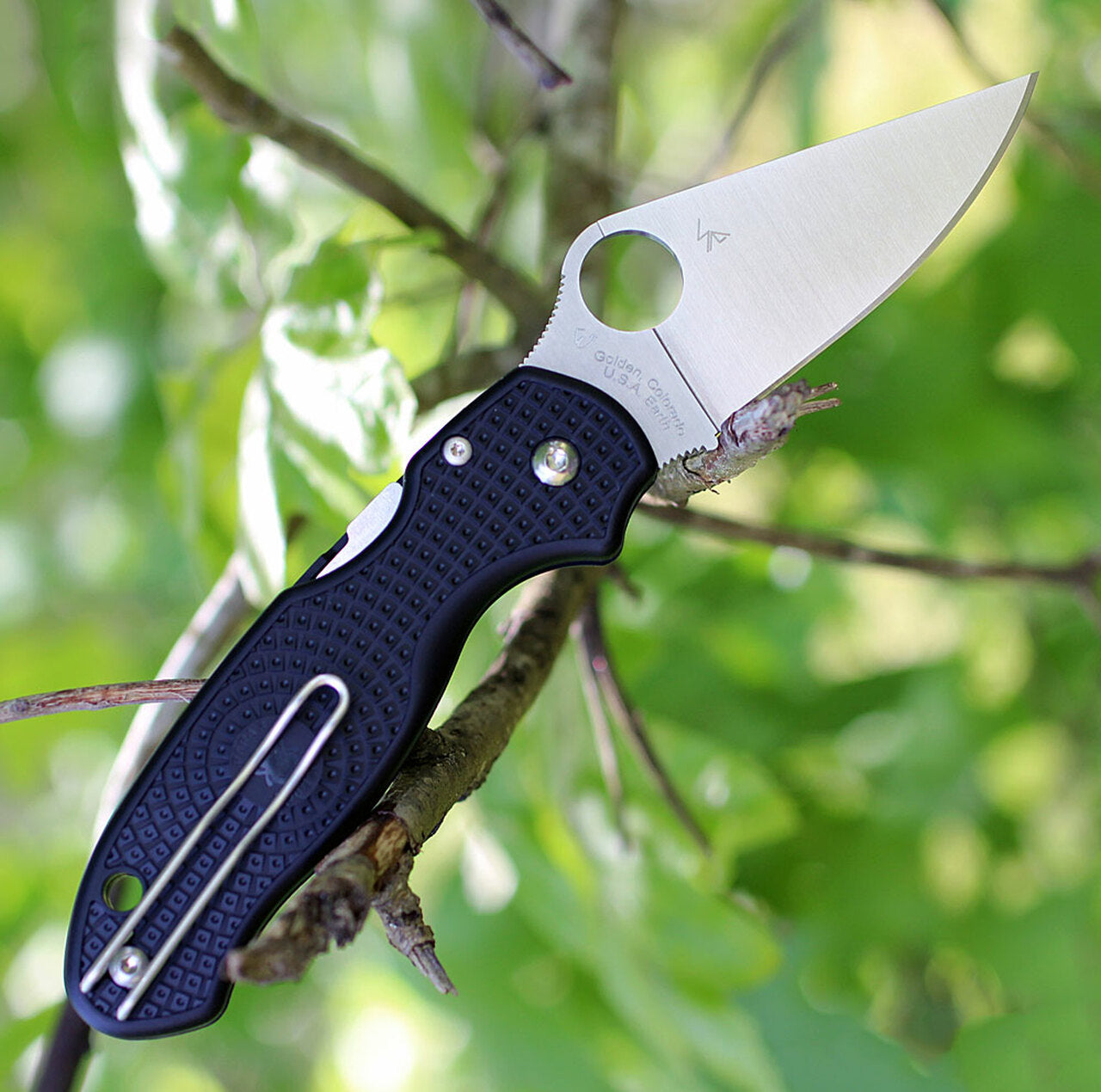 Para 3 PLN Black #C223PBK