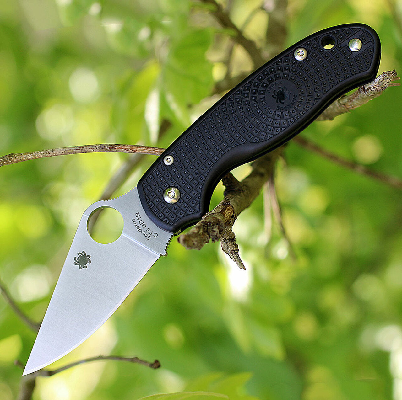 Para 3 PLN Black #C223PBK