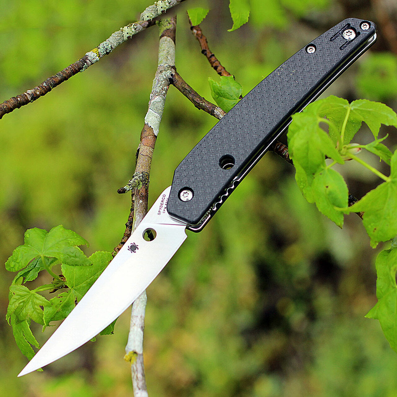 Spyderco Ikuchi PLN CF CPMS30V #C242CFP