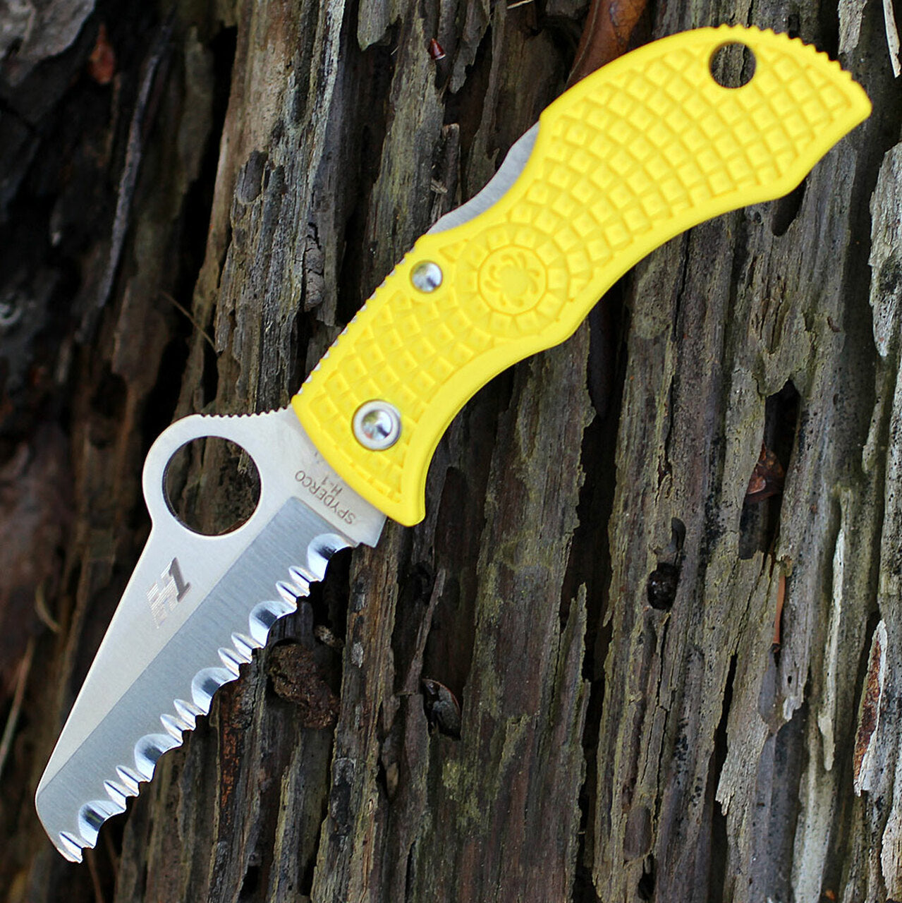 Spyderco Manbug Salt H1 Serrated Blade #MYLS