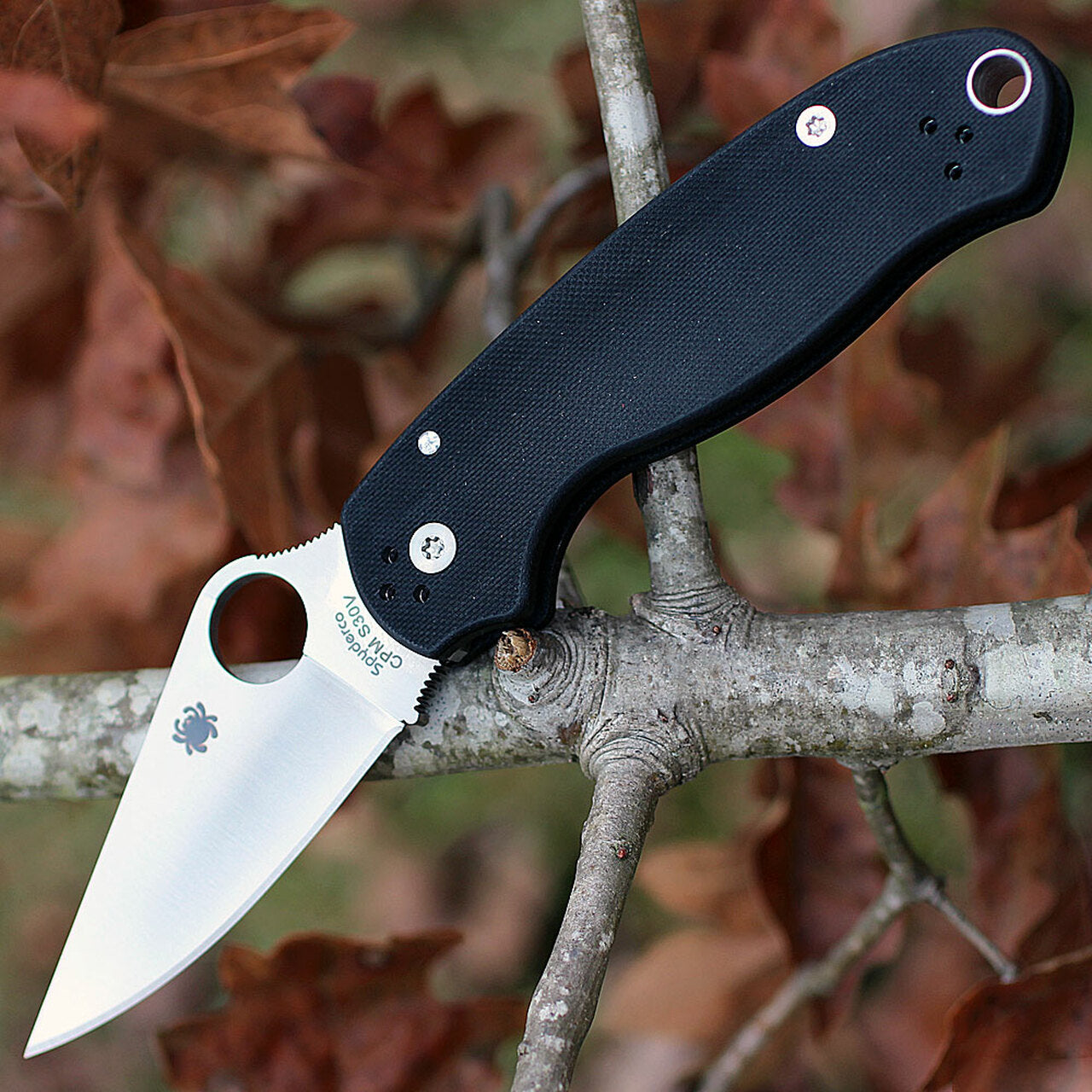 Para 3 PLN Black G-10 #C223GP