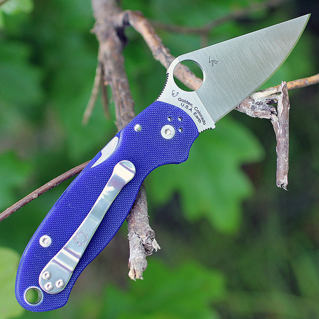 Para 3 PLN DK Blue G-10 #C223GPDBL