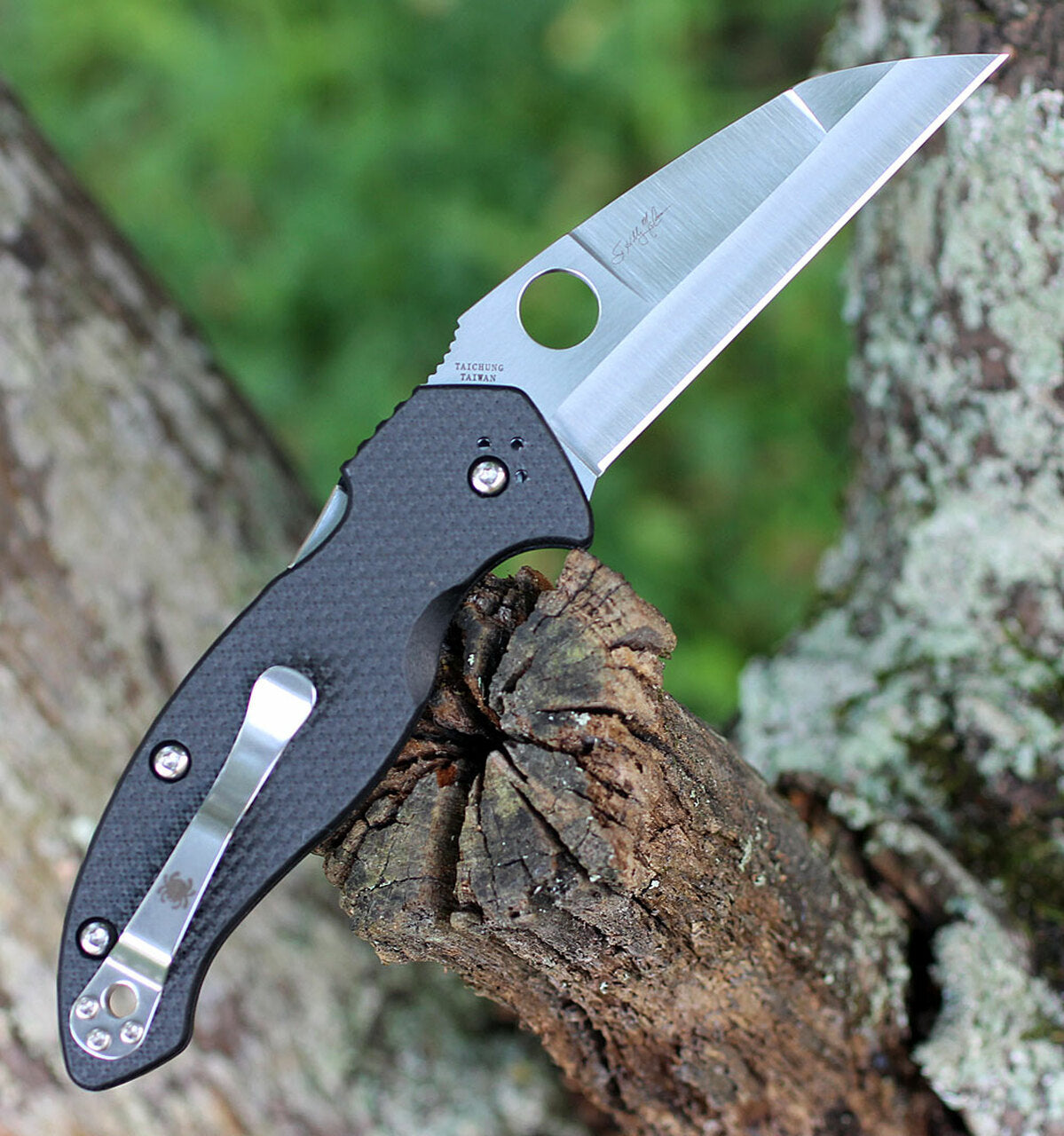 Spyderco Canis CF CPMS30V #C248CFP